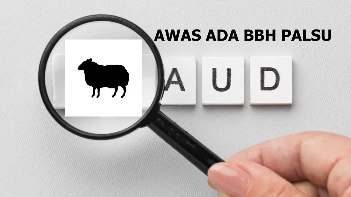 Begini Skema Modus Penipuan BBH dan Smart Wallet yang Bikin Ditutup Sama OJK