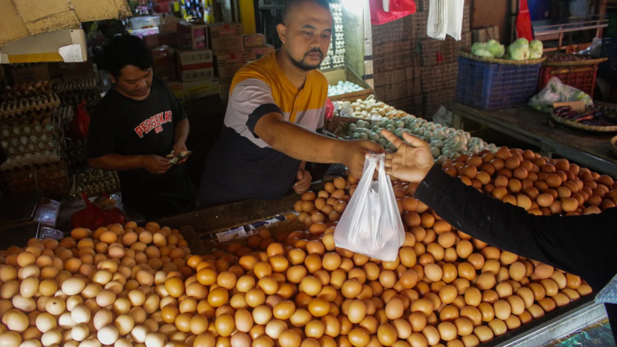 Telur, jadi salah satu bahan pokok yang kini mengalami penurunan harga. (Pandu Muslim / Je)