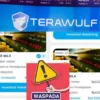 Aplikasi Terawulf Apa Aman dan Terbukti Membayar Atau Penipuan?