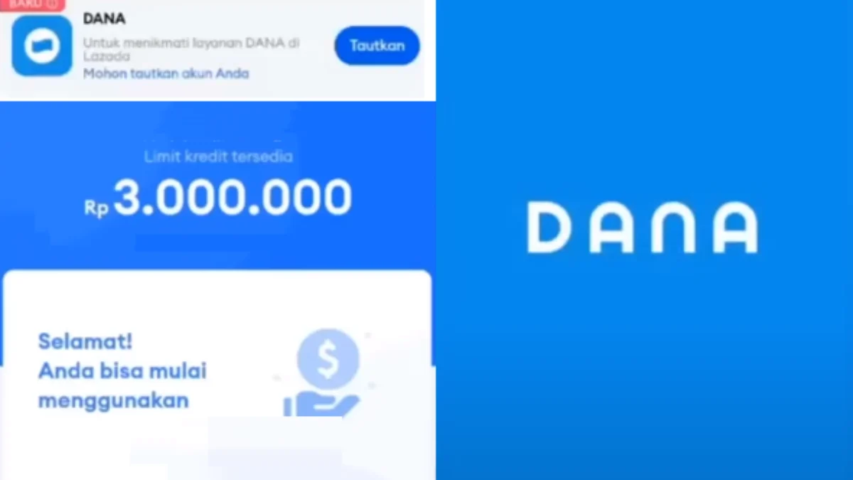 Dana Kaget Hari Ini!! Cara Mudah Pinjam Uang Di Aplikasi DANA