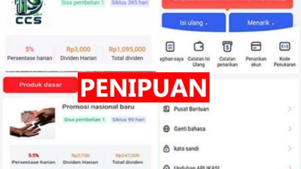 Stop Gabung di Aplikasi CCS Compleo Sebelum Terlambat
