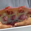 Update 24 Maret 2024: Apakah Pencairan Saldo Smart Wallet Terealisasi?