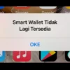 Notifikasi yang muncul setelah aplikasi penghasil uang Smart Wallet tak bisa diakses.
