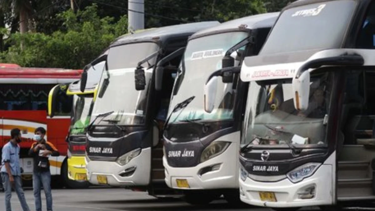 Kemenhub Kembali Gelar Program Mudik Gratis 2024 Kemenhub Kembali Gelar Program Mudik Gratis 2024, Warga Kota Tangerang Bisa Ikut