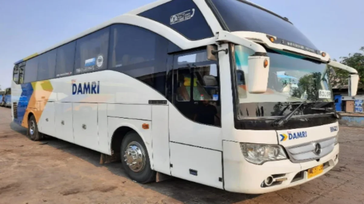 Catat! Cara Daftar dan Ikut Program Mudik Gratis 2024 Pakai DAMRI