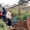 Pengunjung saat menyusuri Pasar Awi Campernik, Kota Cimahi.
