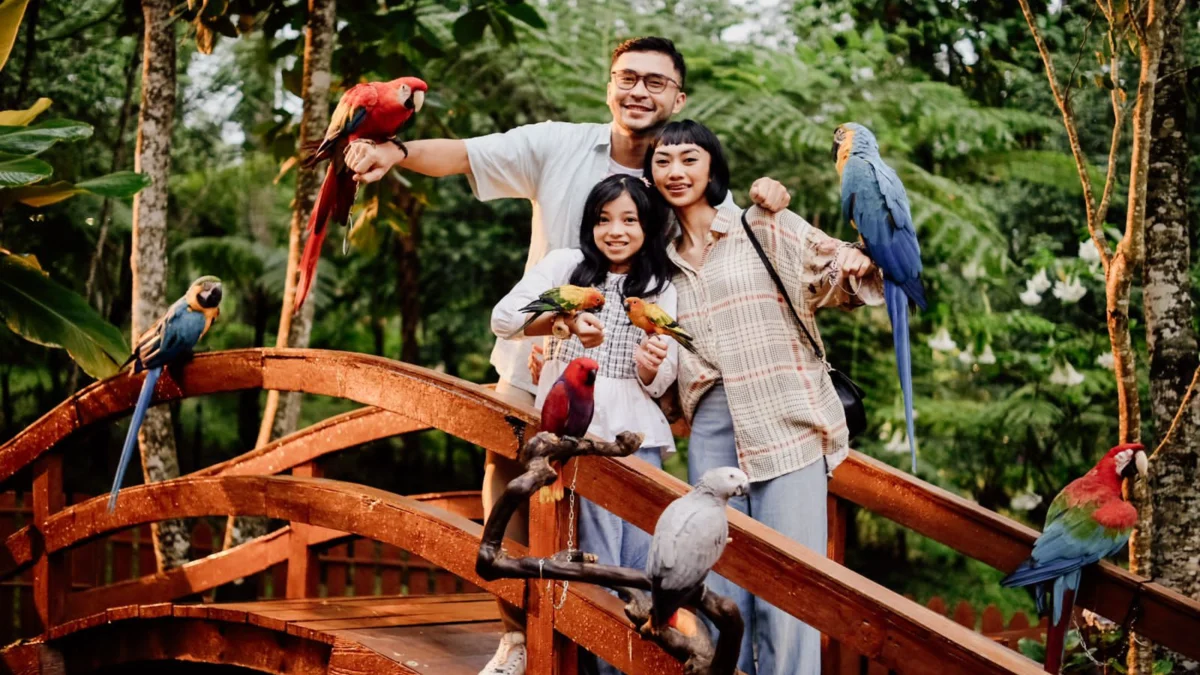 Ngabuburit dan Rayakan Libur Lebaran di Orchid Forest Cikole, Nikmati Sensasi Udara Segar di Tengah Hutan Pinus