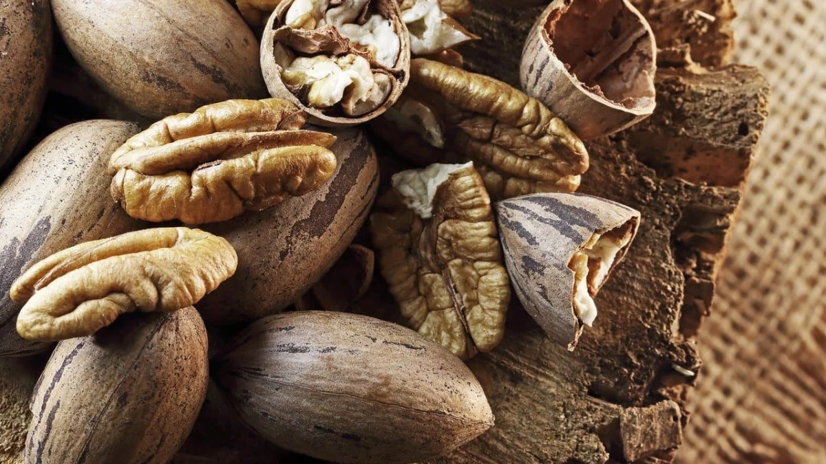 Selain Meningkatkan Kesehatan Otak, Ketahui Manfaat Lain Kacang Pecan (ilustrasi: Freepik)