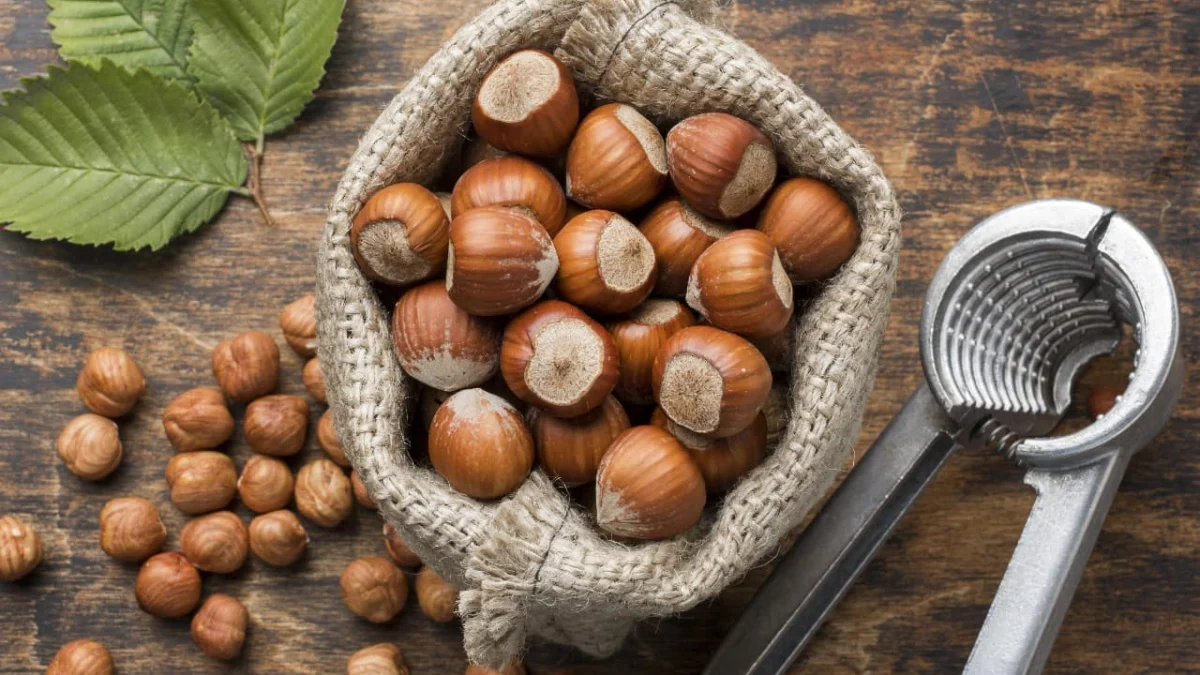 6 Manfaat Konsumsi Hazelnut Bagi Kesehatan (ilustrasi: Freepik)