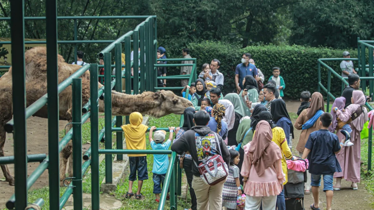 Potret wisata di Jawa Barat/Foto: Istimewa/