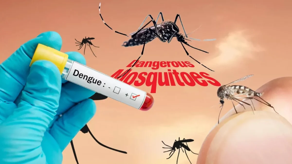 Teknologi Wolbachia Dijamin Aman untuk Cegah DBD Peneliti Utama WMP, Adi Utarini menyatakan, teknologi wolbachia terbukti aman untuk mencegah kasus DBD di Kota Bandung.