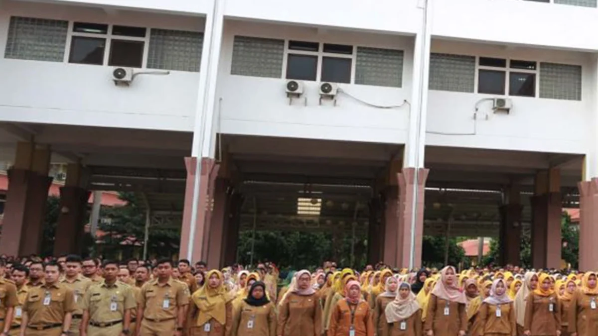 Pendaftaran CPNS 2024 Segera Dibuka, Persiapkan Diri Anda!