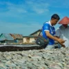 Salah satu UMKM Binaan BRI