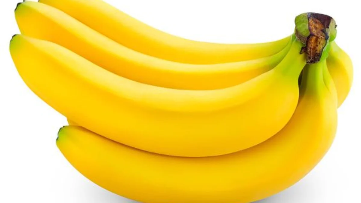 8 Buah Terbaik untuk Sahur yang Bikin Kenyang Seharian 8 Buah Terbaik untuk Sahur yang Bikin Kenyang Seharian
