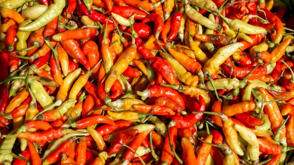 Harga Pangan Hari Ini, Cabai dan Daging Turun saat Bulan Ramadan!