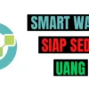 Smart Wallet Buka WD dan Tawarkan Bonus Hari ini, Nyata atau Penipuan Selanjutnya?