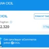 Cara Aktivasi dan Limit Dana Cicil di Aplikasi DANA
