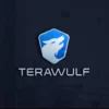 Menguak Fakta Aplikasi Terawulf Indonesia, Investasi Bodong Mirip Smart Wallet?