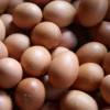 Kenaikan Harga Telur dan Kurangnya Perhatian Pemerintah, Pedagang Keluhkan Penurunan Omset harga telur alami kenaikan/Foto: Wikimedia Commons