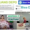 Waspada! Maraknya Jasa Tarik Saldo Smart Wallet itu Penipuan, Ini Buktinya