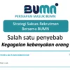 Gagal di Rekrutmen Bersama BUMN 2024? Ini Penyebabnya..