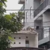 kawanan monyet berkeliaran di Kota Bandung/ Foto: Istimewa/