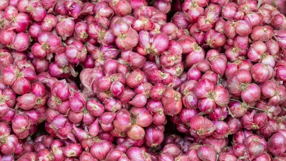 Harga Pangan Hari Ini Senin, 25 Maret 2024: Daging, Bawang, dan Telur Naik!