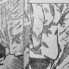 Spoiler Jujutsu Kaisen Chapter 254: Sukuna Terus Membantai Shaman Kelas Kakap!