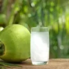 Siapa Saja yang Sebaiknya Menghindari Minum Air Kelapa? Ini Dia Kelompoknya