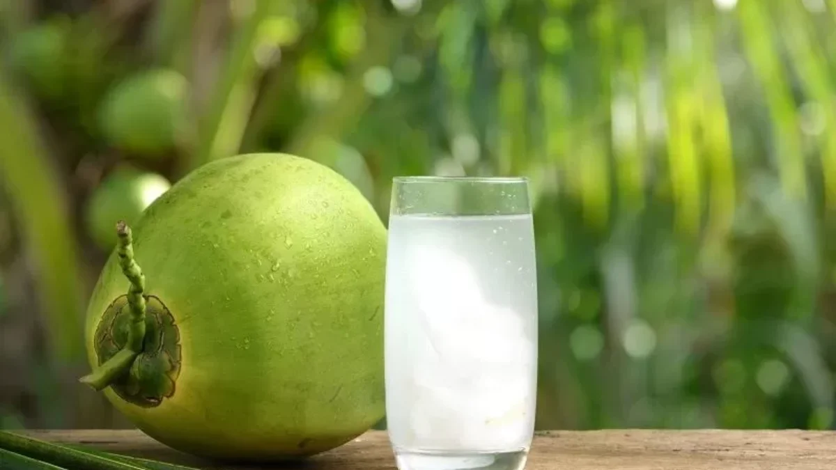 Siapa Saja yang Sebaiknya Menghindari Minum Air Kelapa? Ini Dia Kelompoknya