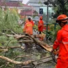 Petugas BPBD saat mengevakuasi pohon tumbang. Foto : Sandika Fadilah/Jabarekspres.com