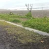 Abrasi yang terjadi di Pantai Ciparanti yang terletak di Desa Ciparanti, Kecamatan Cimerak, Kabupaten Pangandaran.