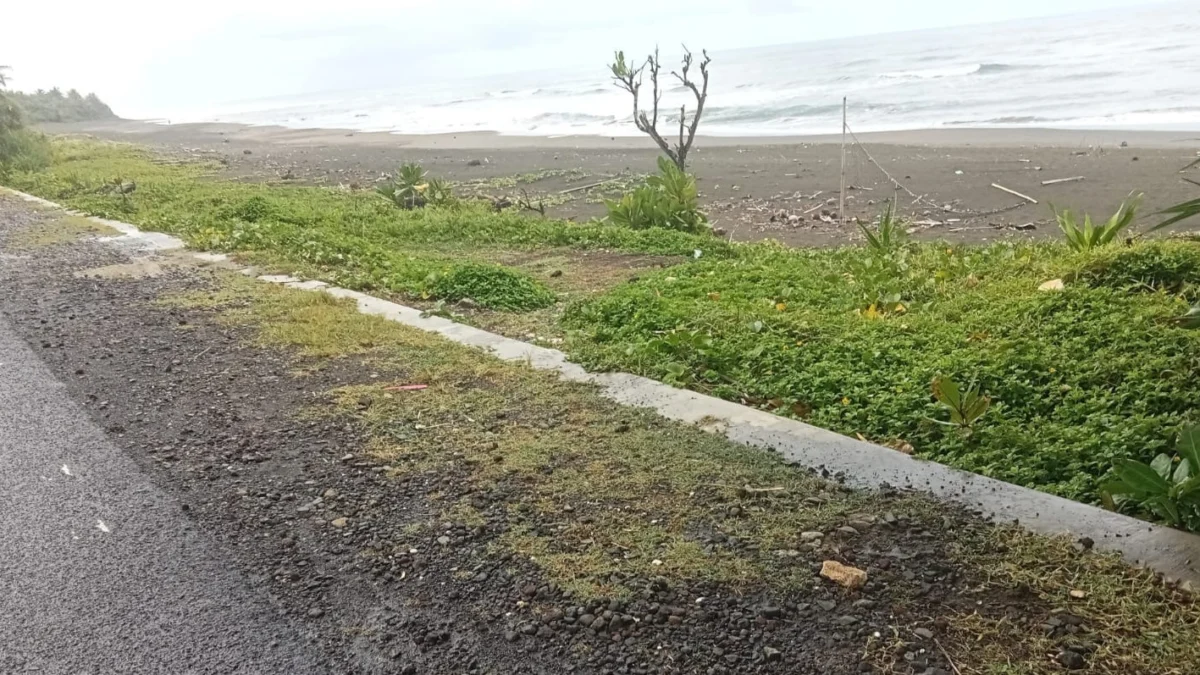 Abrasi yang terjadi di Pantai Ciparanti yang terletak di Desa Ciparanti, Kecamatan Cimerak, Kabupaten Pangandaran.