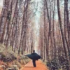 7 Rekomendasi Wisata Alam di Bandung yang Wajib Dikunjungi!