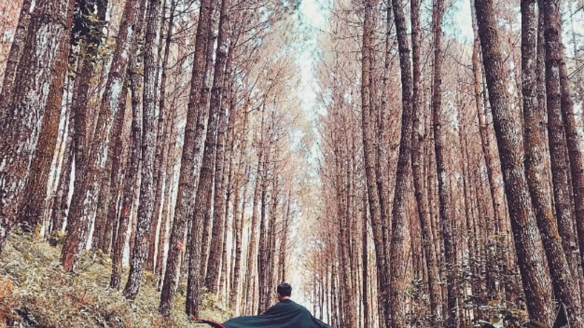 7 Rekomendasi Wisata Alam di Bandung yang Wajib Dikunjungi!