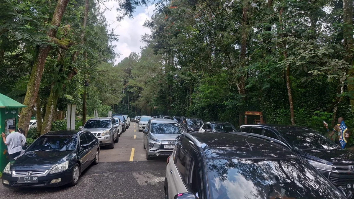 H+1 Lebaran, Pengunjung Padati Wisata Taman Safari Bogor Antrian kendaraan memasuki TSI Bogor. Foto : Dok TSI