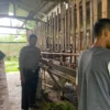 Kambing milik warga Bogor hilang/Istimewa/