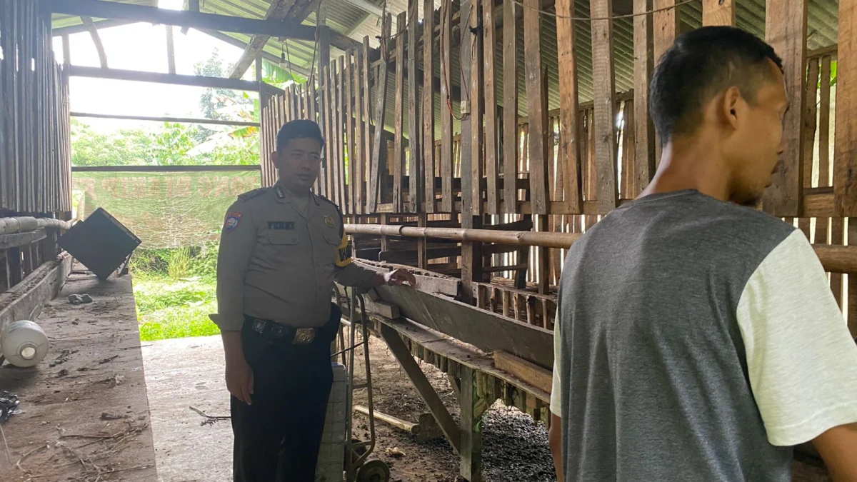 Kambing milik warga Bogor hilang/Istimewa/