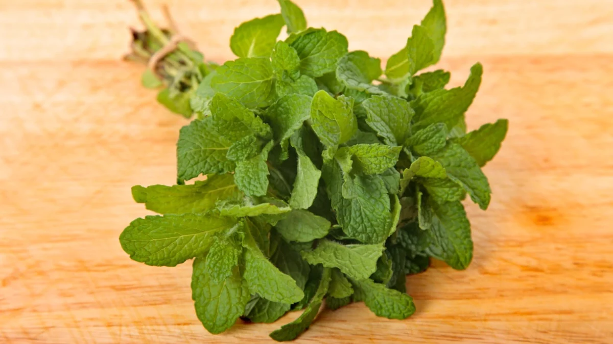 Selain Menyegarkan Napas, Ketahui Manfaat Konsumsi Daun Mint Selain Menyegarkan Napas, Ketahui Manfaat Konsumsi Daun Mint