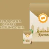Link DANA Kaget 3 April 2024, Klaim Saldo Gratisnya Sekarang!
