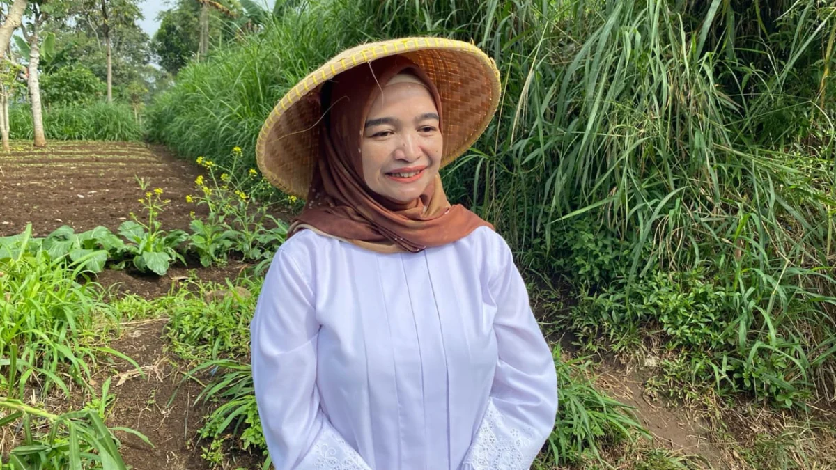 Panen Cabai Pertama di Cipangeran Cimahi: Lahan Terbatas Bukan Halangan Kadispangtan Kota Cimahi, Tita Mariam, usai melaksanakan panen cabai pertama di Kampung Lebak, Cipageran, Kota Cimahi, Rabu (3/4).