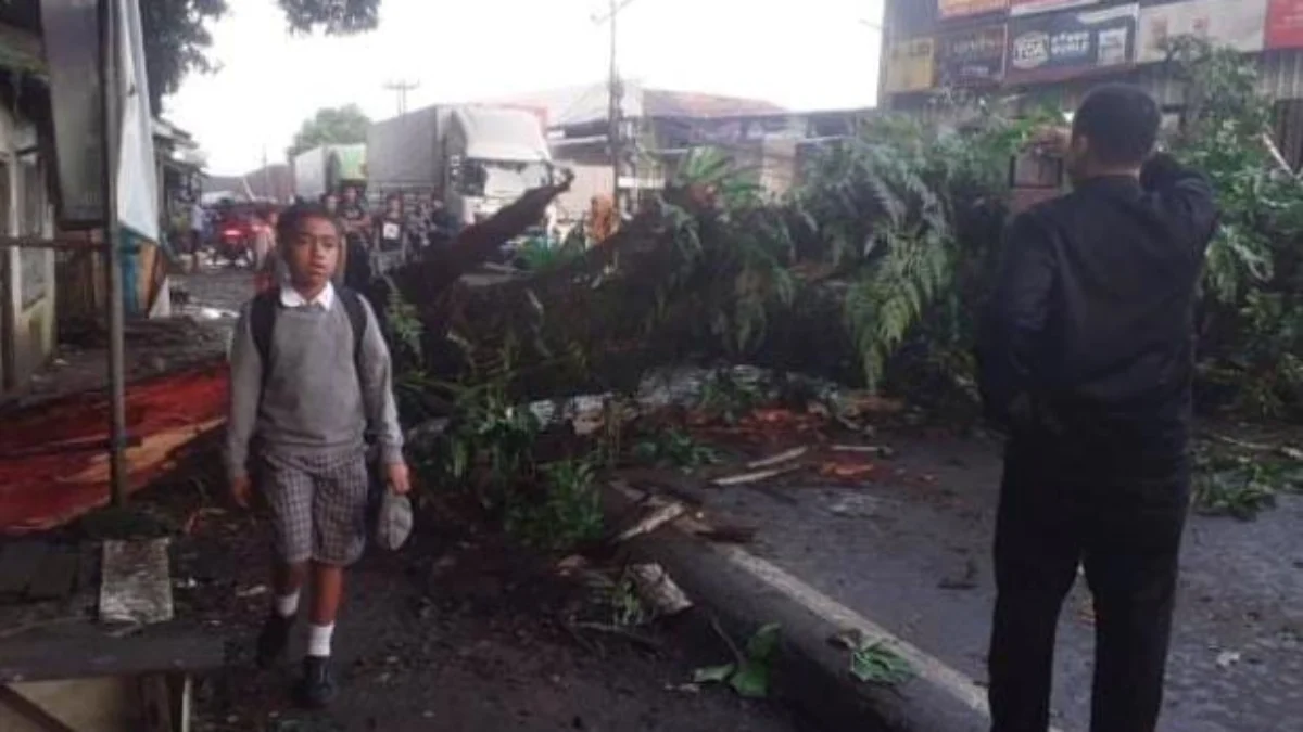 Pohon Tumbang di Parungkuda Sukabumi, Lalu Lintas Sukabumi-Bogor Tersendat Pohon tumbang yang menutupi jalur Sukabumi-Bogor di Jalan Raya Siliwangi, Kampung Ciutara, Desa Pondokkasolandeuh, Kecamatan Parungkuda, Kabupaten Sukabumi, pada Kamis, 4 April 2024 pukul 06.20 WIB.