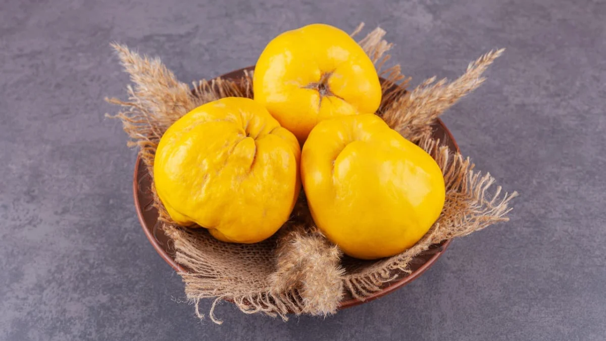 Mengandung 6 Nutrisi Penting, Ketahui Manfaat Buah Quince Bagi Kesehatan (ilustrasi: Freepik)