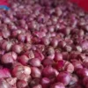 Harga bawang merah di Pasar Tradisional Tagog Padalarang, Bandung Barat pasca hari raya Idul Fitri alami kenaikan. Selasa (16/4/2024).