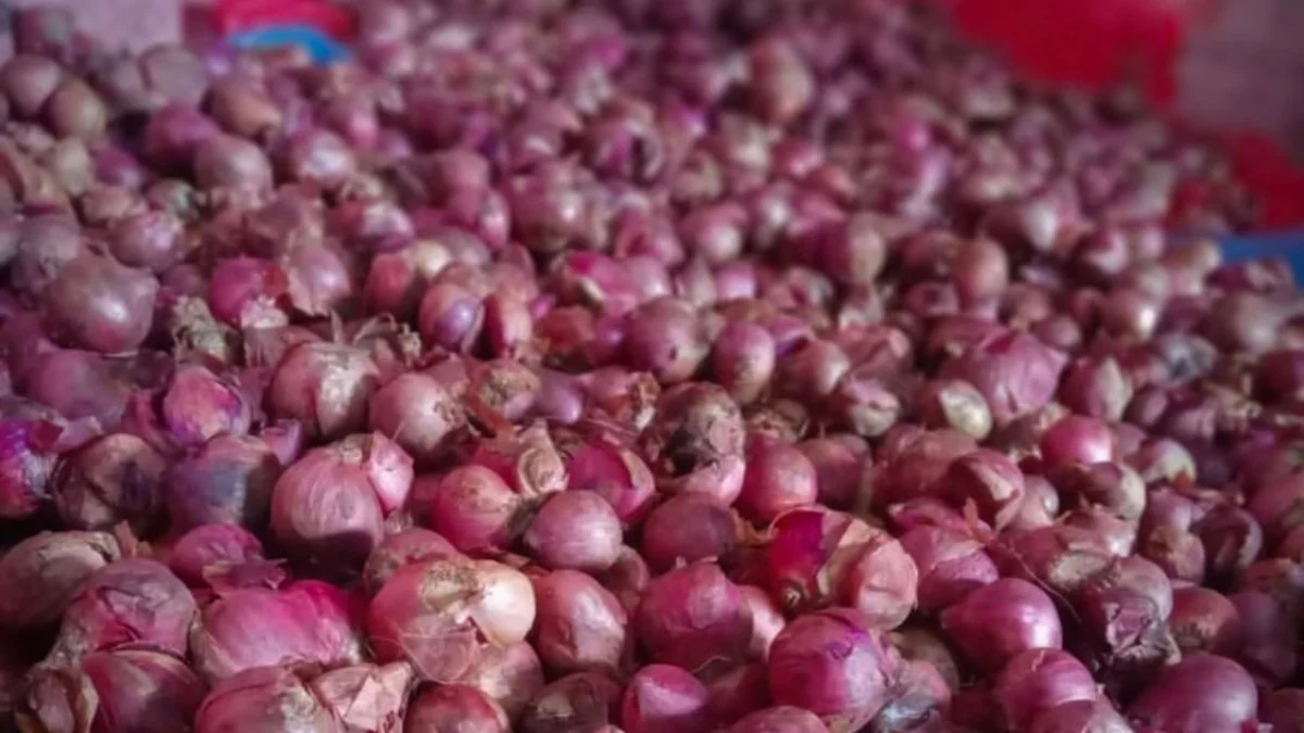 Harga bawang merah di Pasar Tradisional Tagog Padalarang, Bandung Barat pasca hari raya Idul Fitri alami kenaikan. Selasa (16/4/2024).