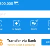 Cara Hasilkan Saldo DANA Rp 300 Ribu Gratis Melalui Sebuah Link!