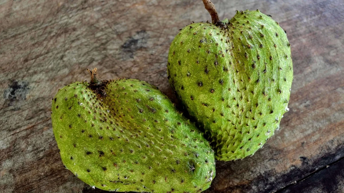 Menjaga Kesehatan Kulit, Ketahui Manfaat Lain Konsumsi Buah Sirsak (ilustrasi: Pixabay)