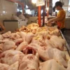HARGA TURUN: Salah satu lapak penjual daging ayam di Pasar Atas Kota Cimahi.