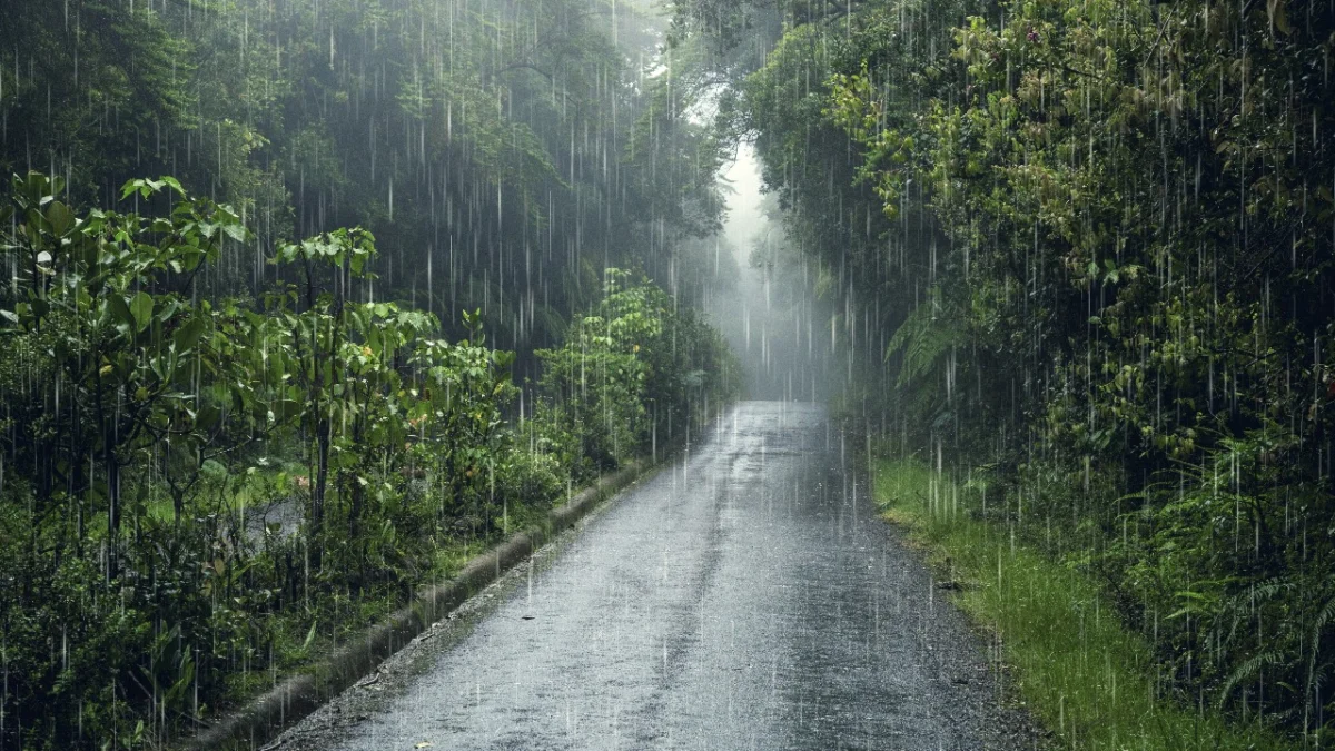 Prakiraan Cuaca Bogor, Jawa Barat Hari Ini, Selasa, 5 November 2024