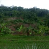 Kondisi longsor di Kampung Muncanglega RT 02 RW 01 Desa Sukasari, Kecamatan Gununghalu, Kabupaten Bandung Barat. Kamis (25/4). Foto istimewa